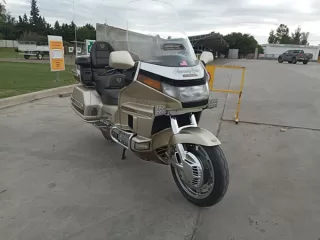 WhatsApp-Image-2024-08-12-at-21.29.18